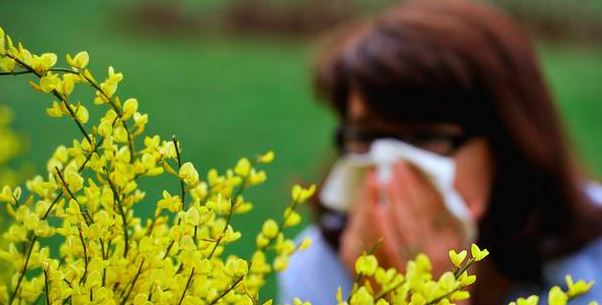 Allergie au pollen, pourquoi et comment y remédier ?